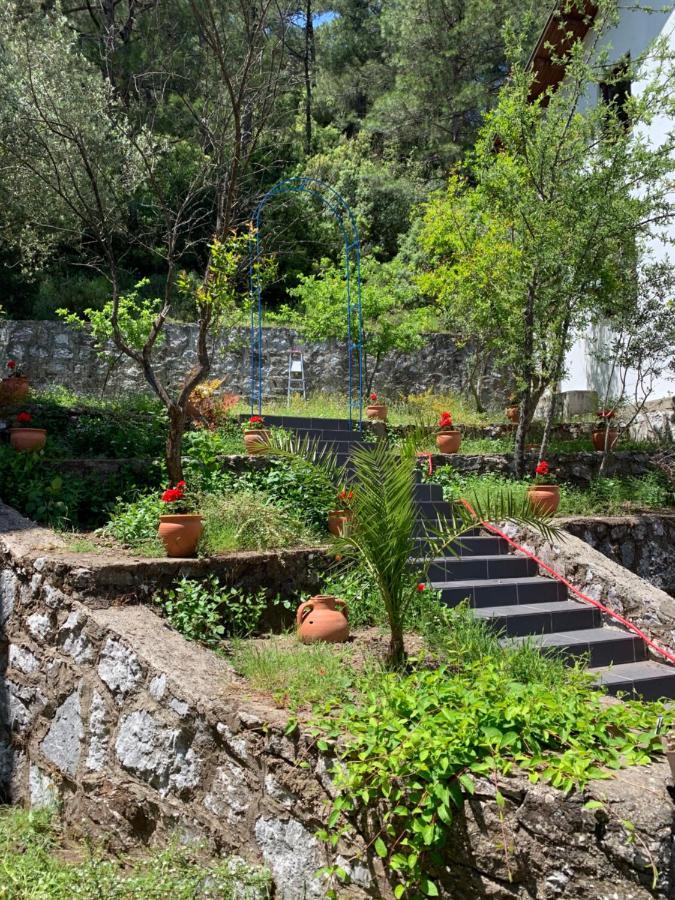 Alp Inn Villas Turunc Kültér fotó