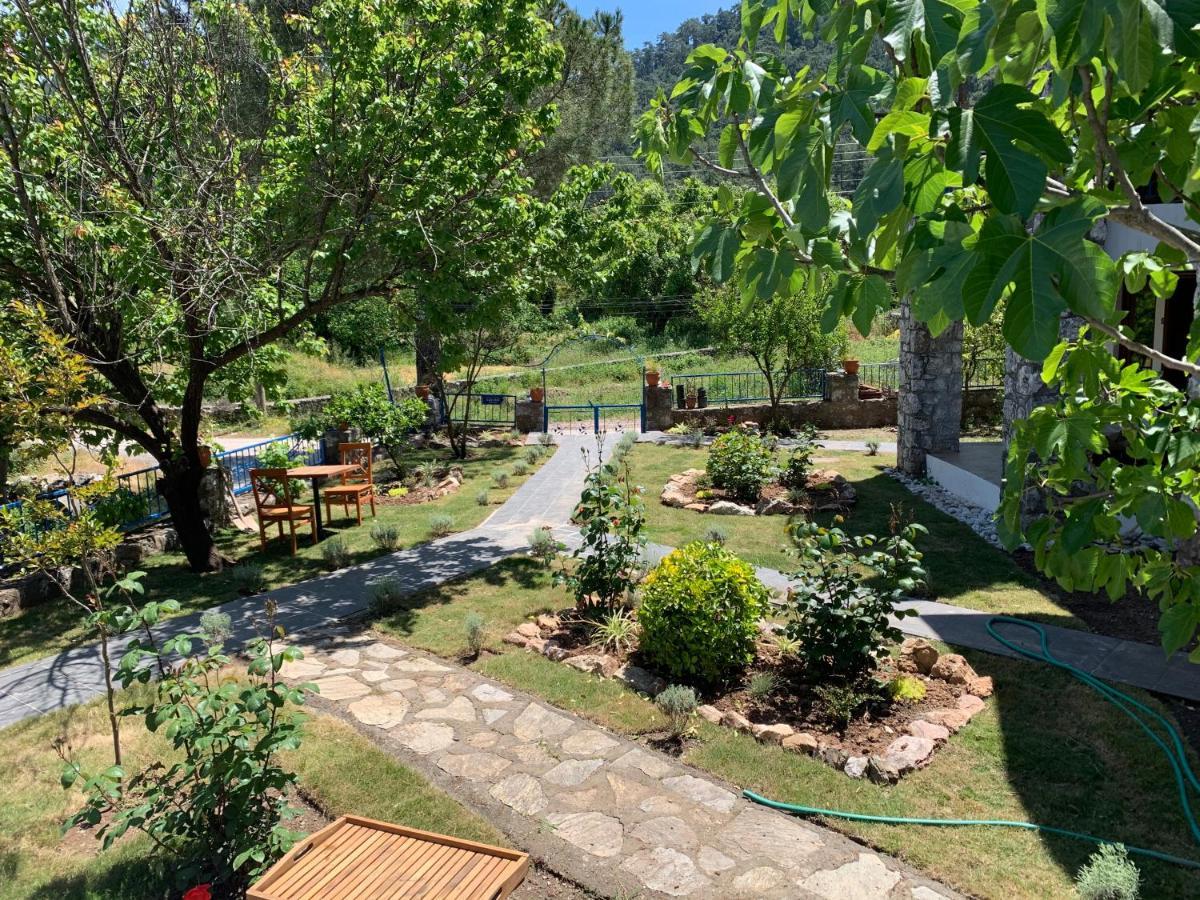 Alp Inn Villas Turunc Kültér fotó